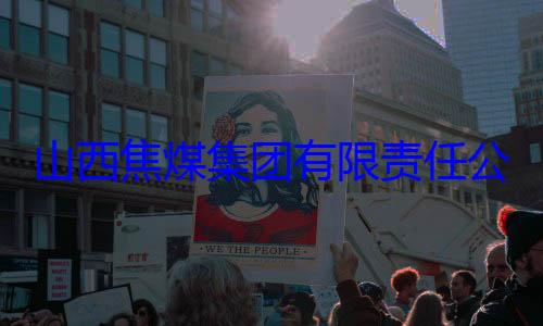 查团有限责任经理杨新华接受审查调山西焦煤集公司原副总